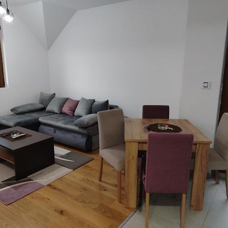 Gold Apartman, Vila Katalina 2 ズラティボール エクステリア 写真