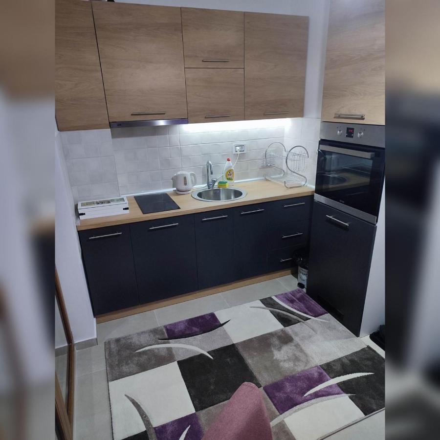 Gold Apartman, Vila Katalina 2 ズラティボール エクステリア 写真